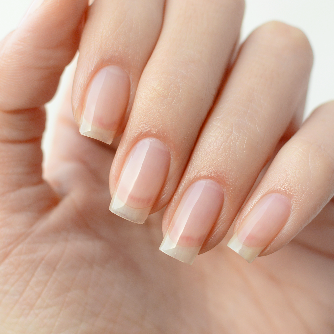base coat esmaltado permanente